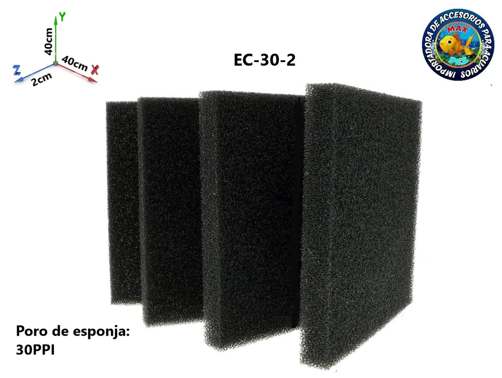 EC-30-2  Esponja carbonatada