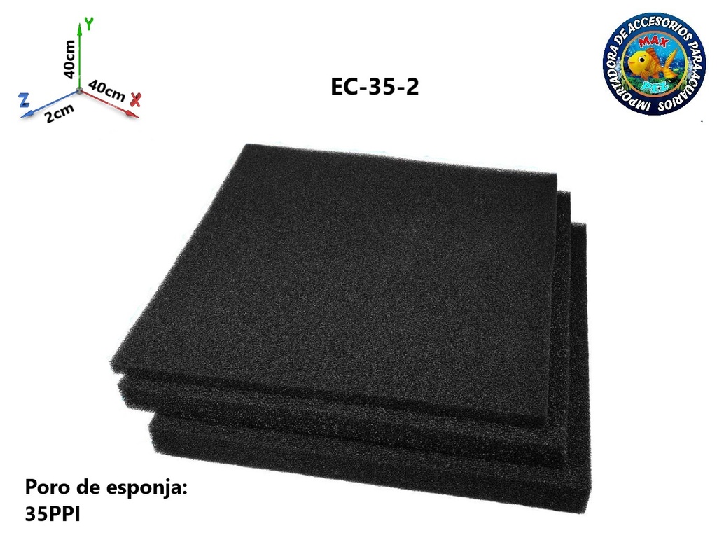 EC-35-2  Esponja carbonatada